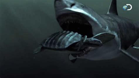 megalodon shark length|megalodon full episode discovery channel.